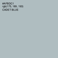 #AFBDC1 - Cadet Blue Color Image